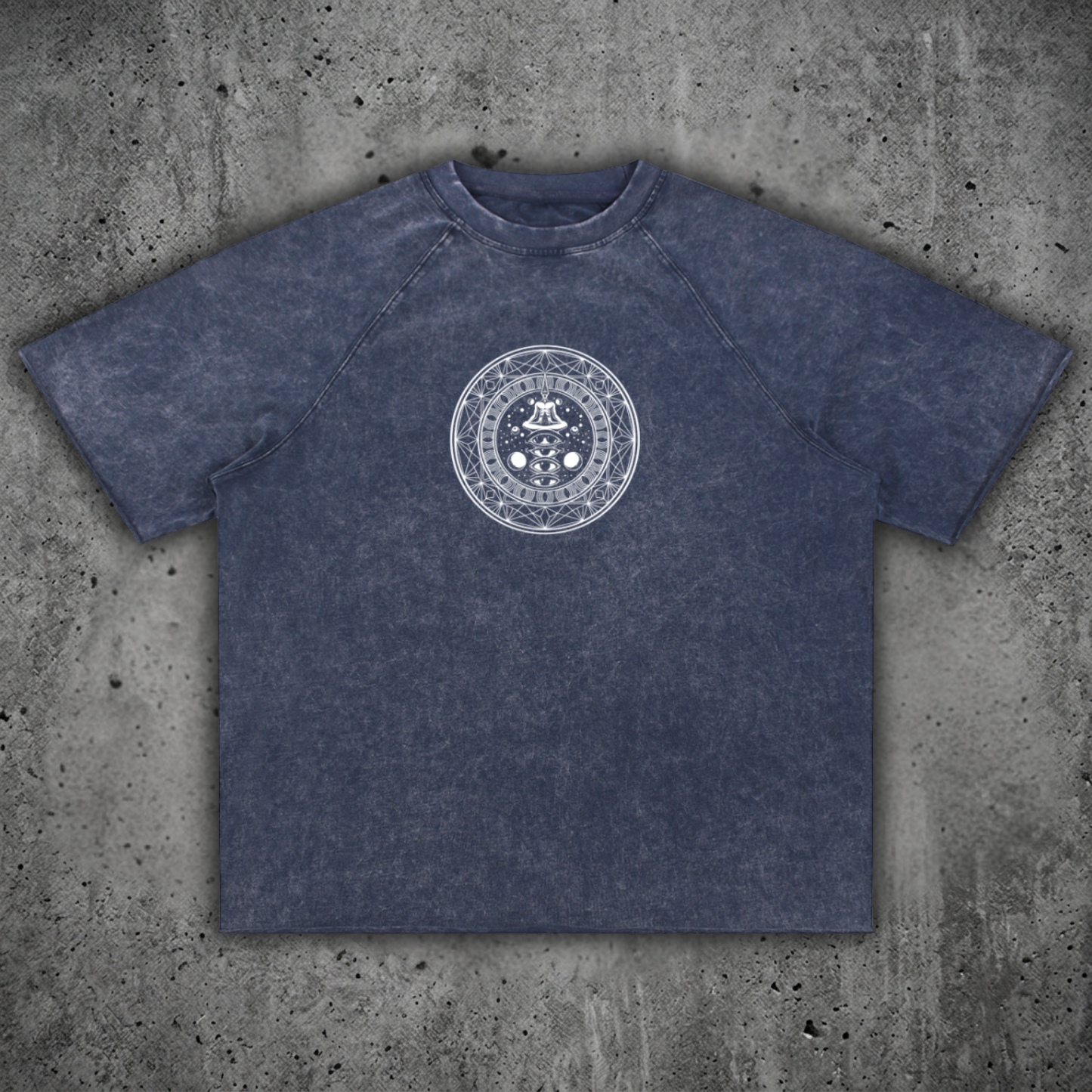 DMT.exe - Unisex Mineral Wash Raw Edge Heavyweight T-Shirt (NEW)