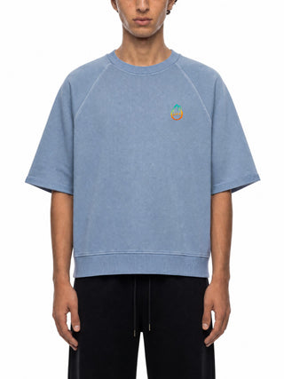 Model wearing the Metamorphosis vintage wash boxy short-sleeve sweatshirt, showing the raglan sleeves and ribbed collar