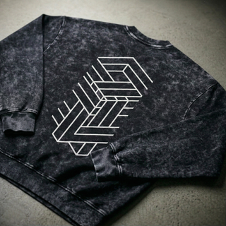 Paradigm Snow Washed Hand-Frayed Heavyweight Sweatshirt NEW - back graphic design view