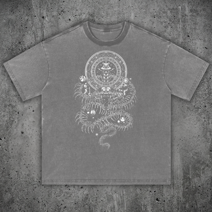 DMT.exe - Fluffy Vintage Washed  T-Shirt - 250 GSM (Pre-release drop!)