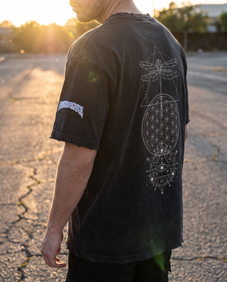 Existential x Paradigm Set